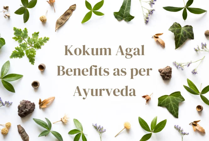 Kokum Agal Benefits as per Ayurveda
