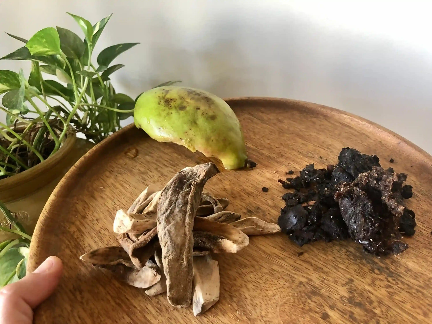 Learning To Use Souring Foods of Maharashtra's Kitchens