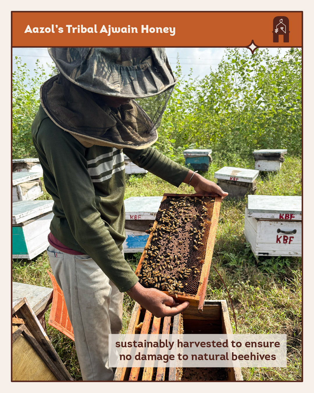 Tribal Ajwain Honey: Sustainably Sourced from Nandurbar - 250g