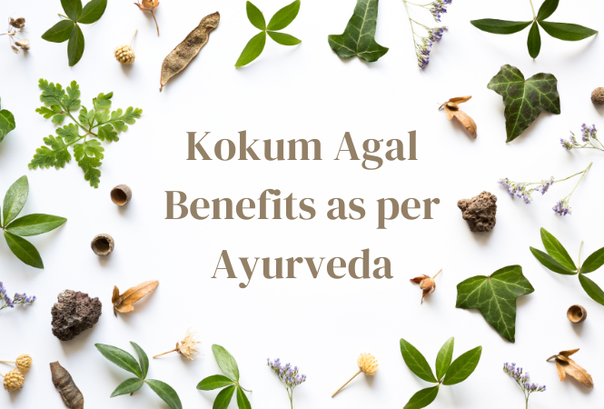 Kokum Agal Benefits as per Ayurveda