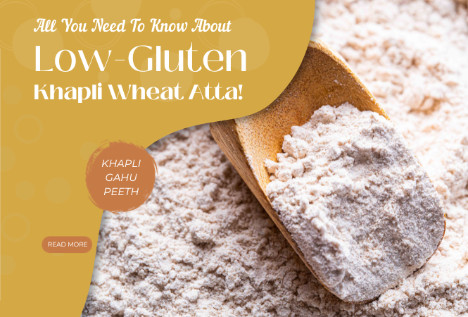 All You Need To Know About Low-Gluten Khapli Wheat Atta!