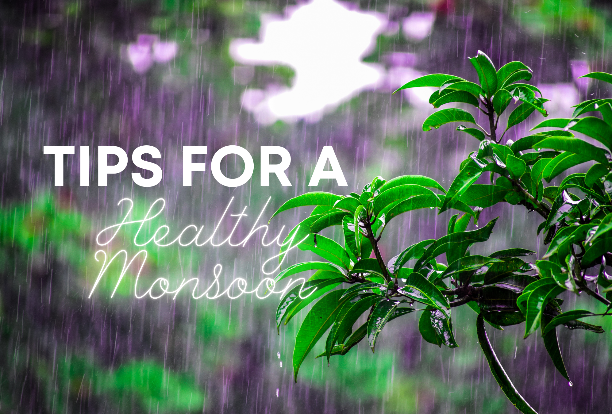 Tips For A Healthy Monsoon Season | Aazol - Aazol: Home-grown Foods Of ...