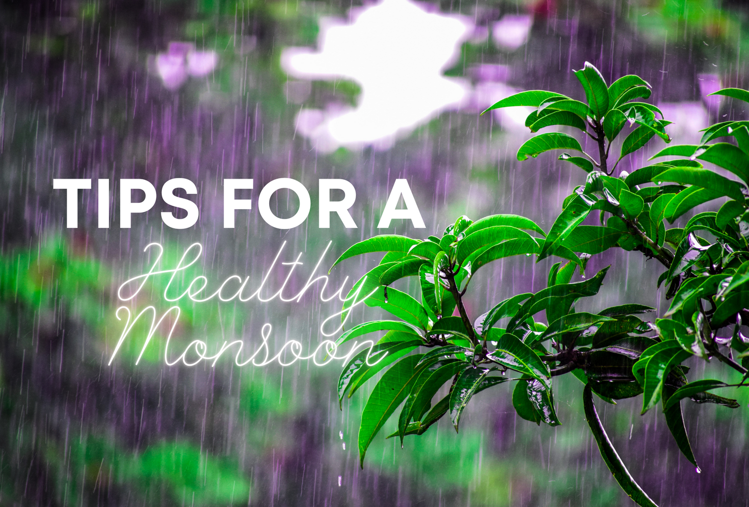 Tips For a Healthy Monsoon Season