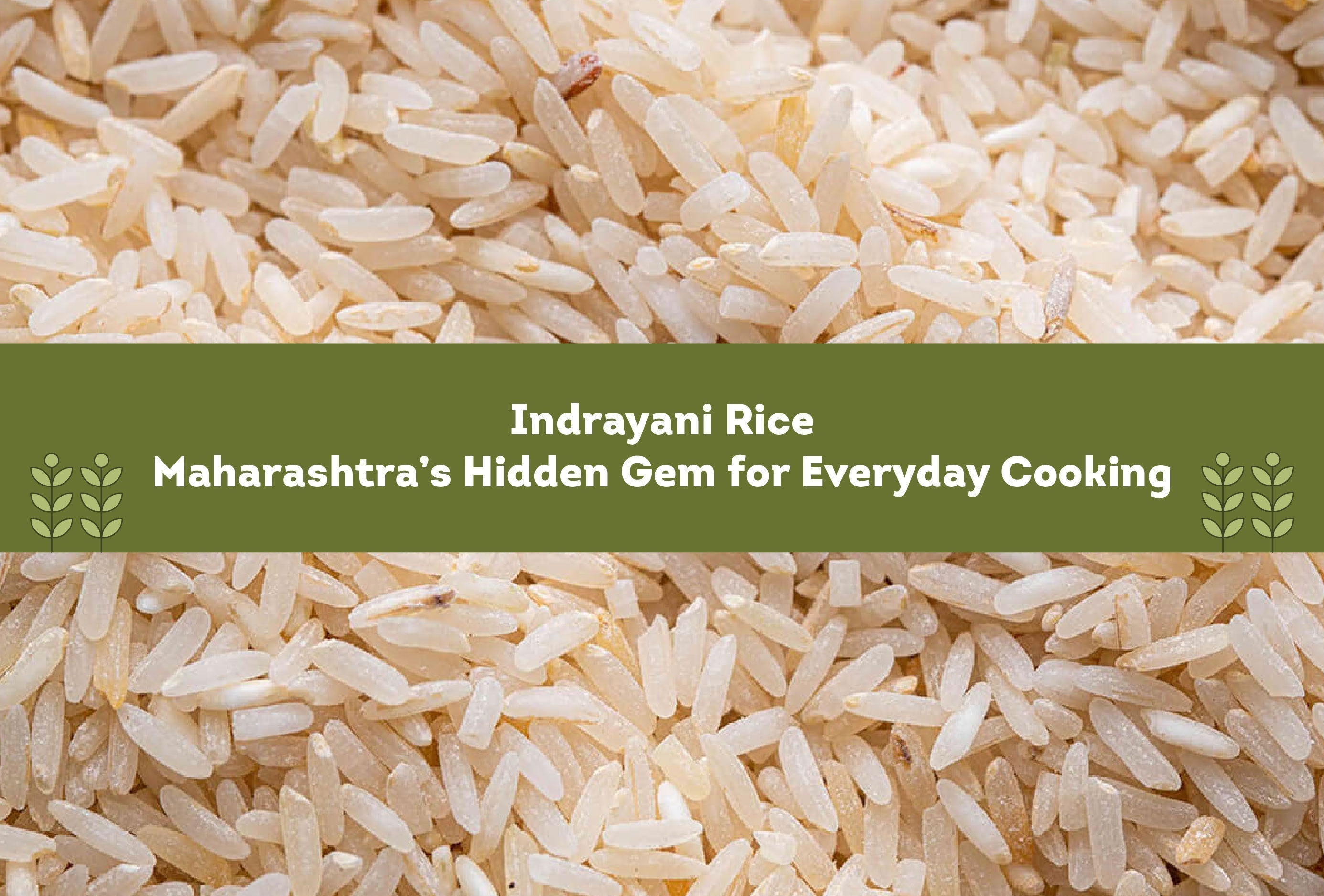 Indrayani Rice: Maharashtra’s Hidden Gem for Everyday Cooking