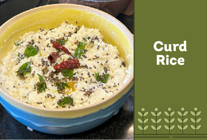 Curd Rice 