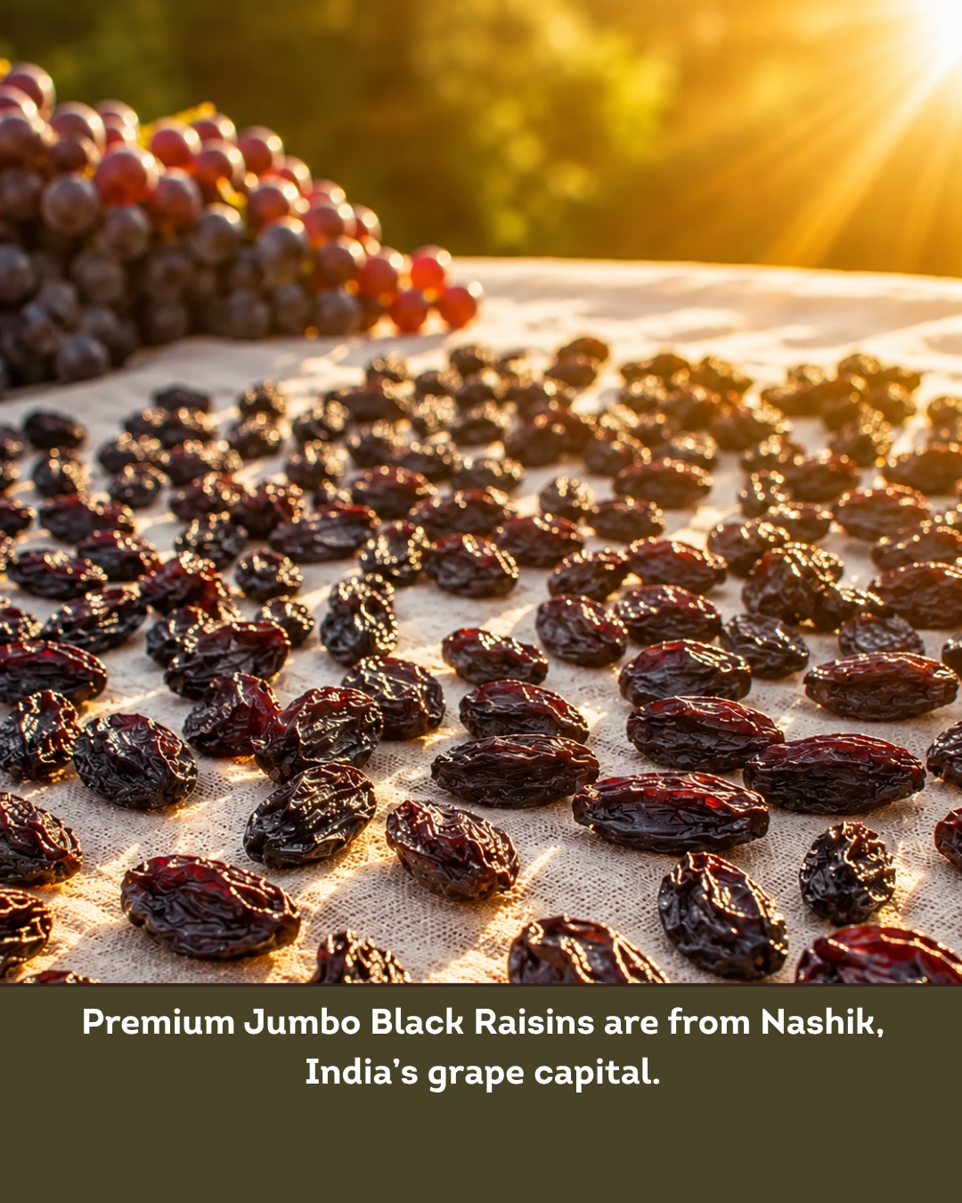 Immunity Boosting Sweets Combo