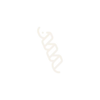 Horse Gram Flour Kulith Peeth